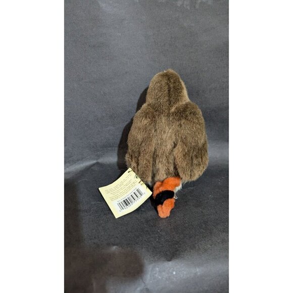 Audubon Red-Tailed Hawk 2012 Plush Wild Republic Birds K&M no sound Robin - Picture 8 of 13